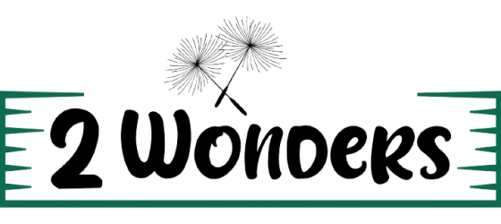 2-Wonders-header-logo